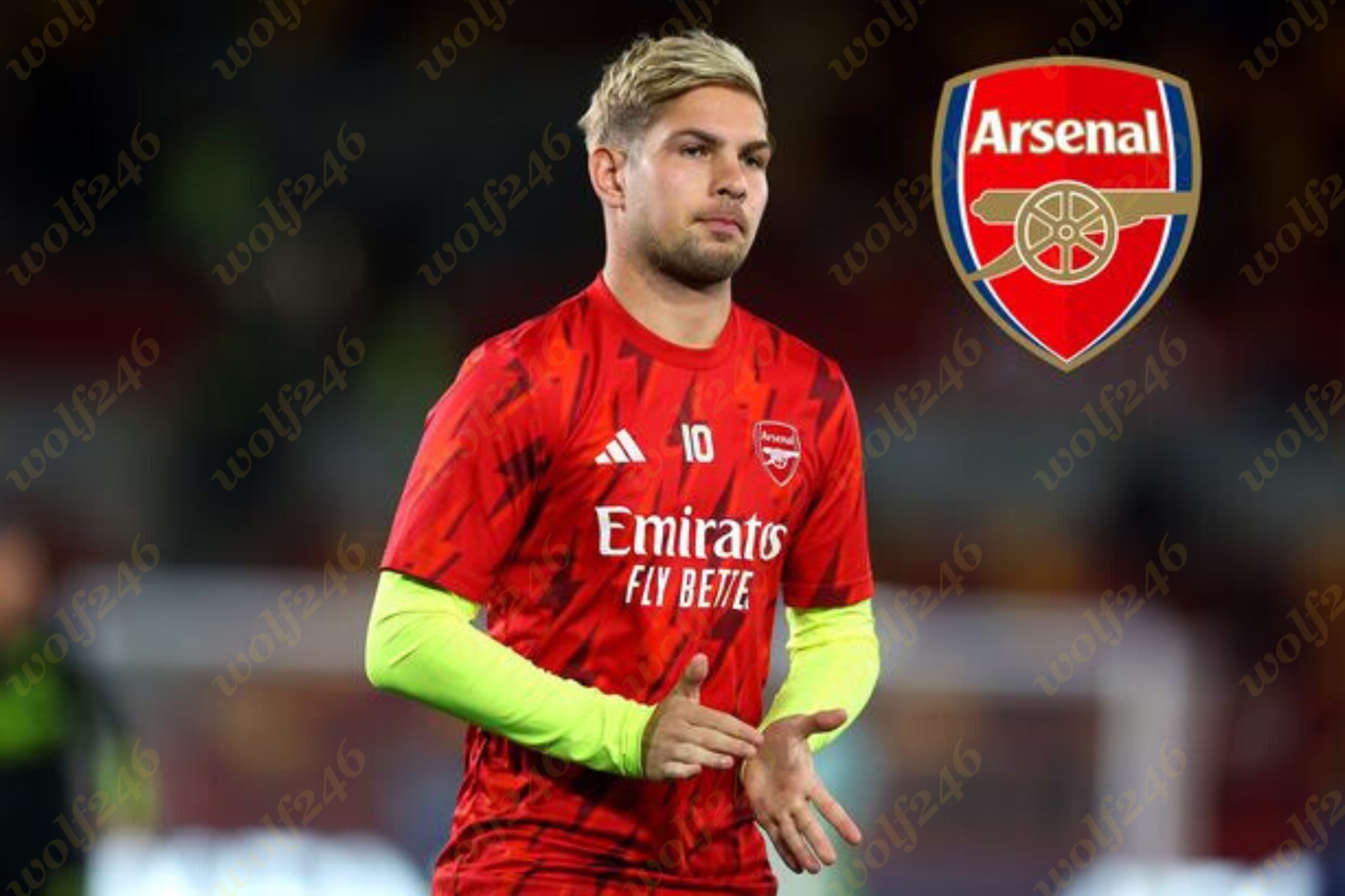 wolf246 News Post 16