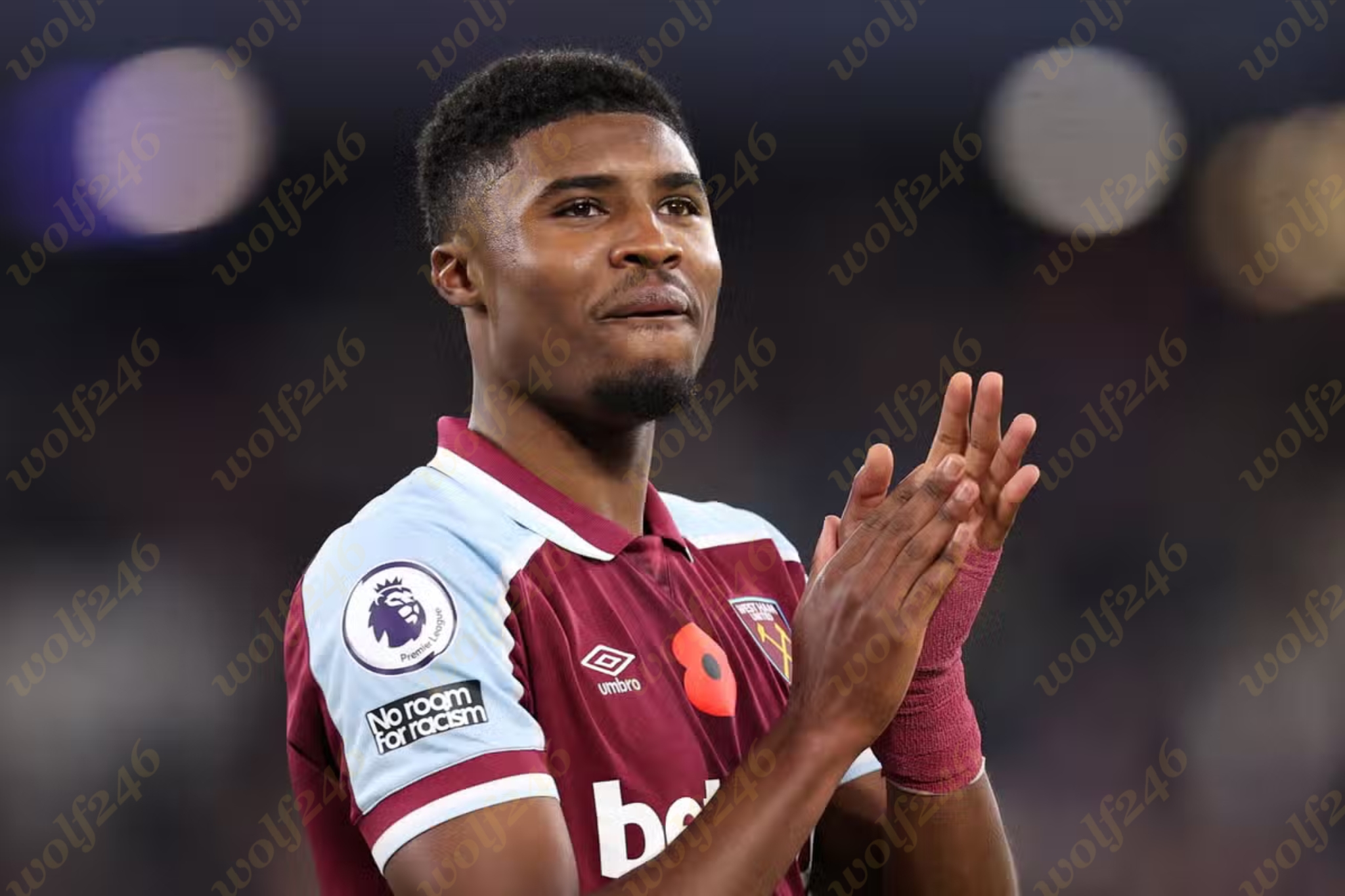 wolf246 News Post 105