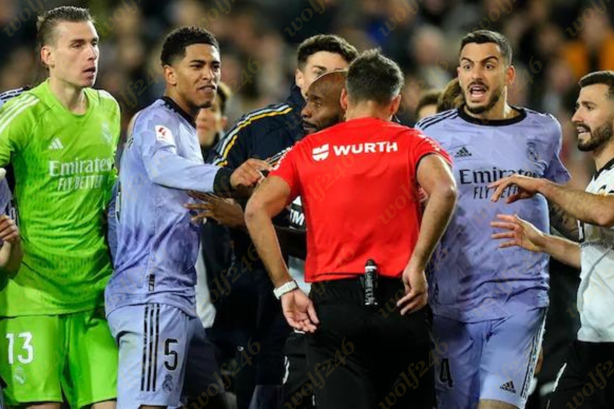 wolf246 News Post 12