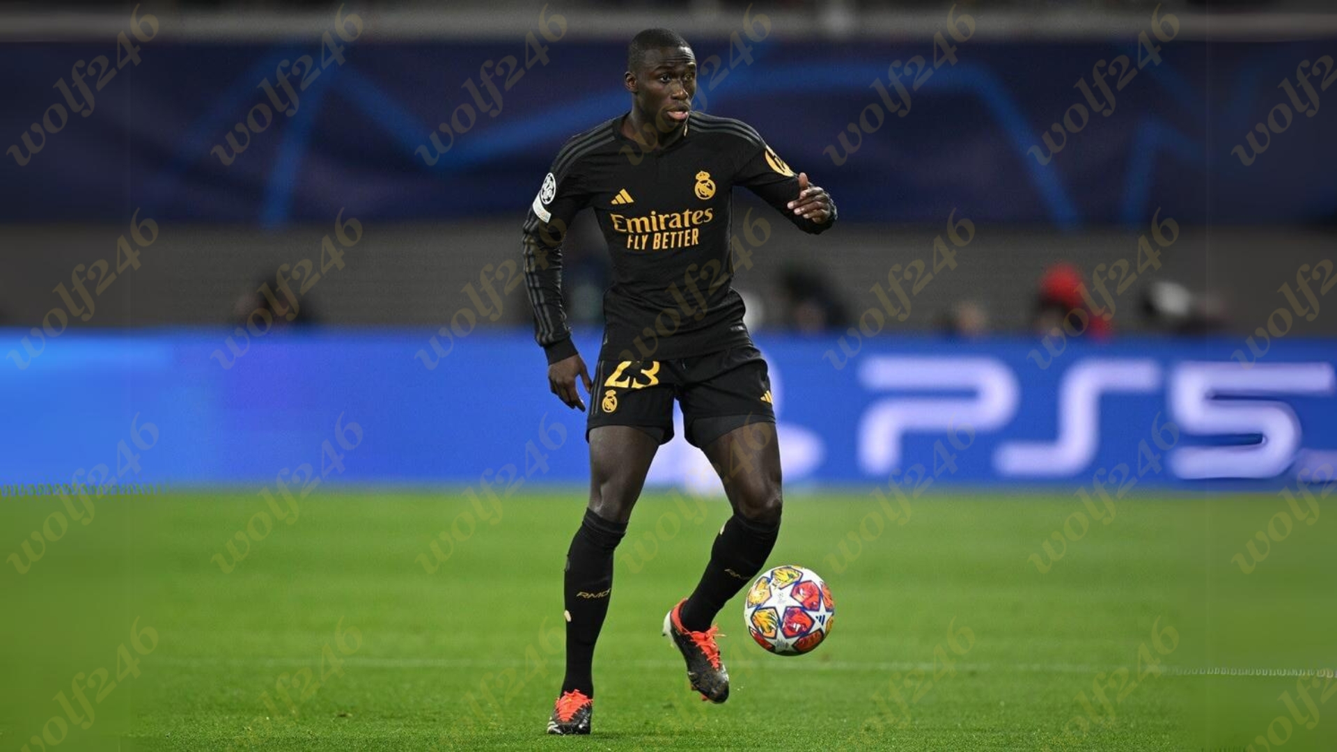 wolf246 News Post 150