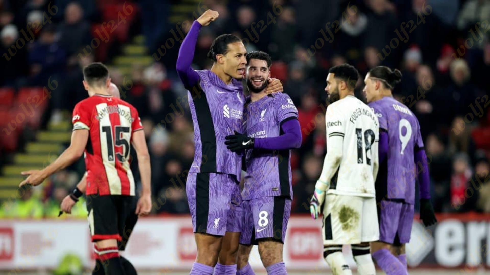 wolf246 News Post 49