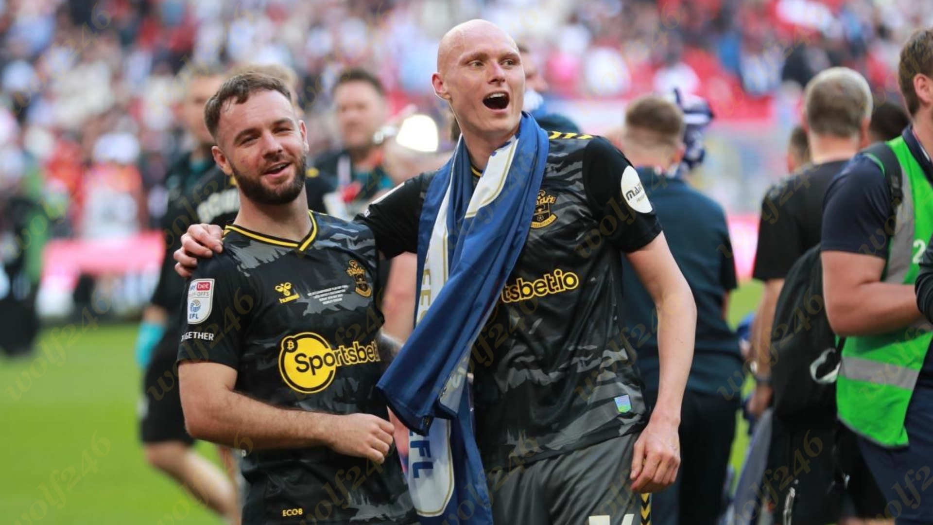 wolf246 News Post 85